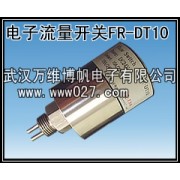 消防联动流量开关  电子式流量开关 型号FR-DT10