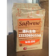 比利时小麦酵母WB-06 ,上面啤酒酵母WB-06