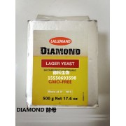 现货供应 拉曼Diamond 钻石下面发酵酵母，啤酒干酵母