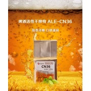 安琪干酵母CN36，啤酒专用干酵母