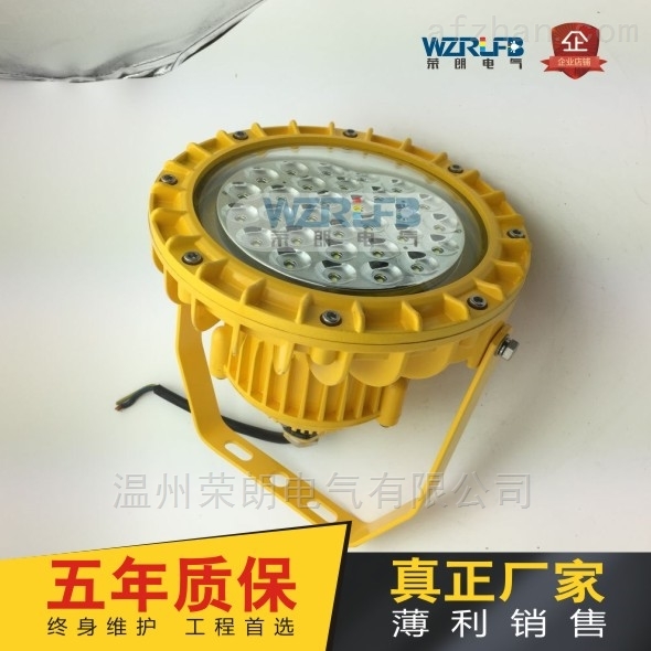 漳州LED防爆灯ZL8923-泛光灯40W