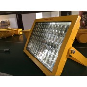 广东LED防爆投光灯TGF766-座式250W防爆灯