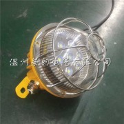 免维护固态照明灯10W-TGF757吸顶式防爆灯