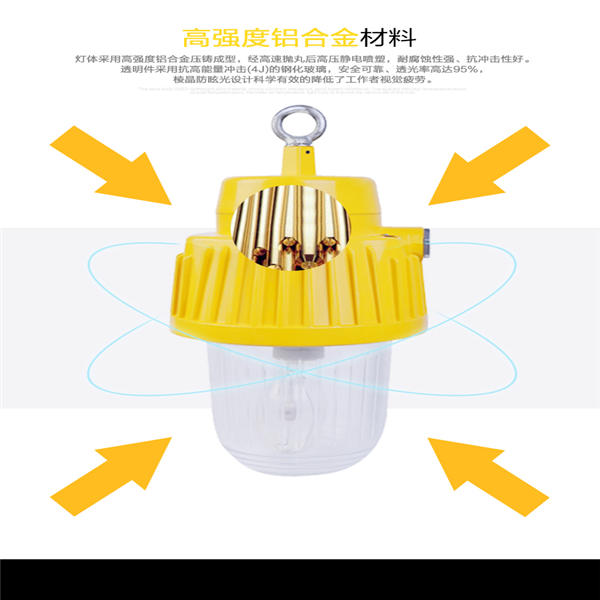 LED吸顶式100W防爆灯-TGF755电厂专用灯