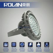 炸药炮房D20186泛光灯 LED防爆灯100W