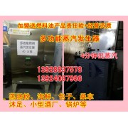 广东厂家新款到货醇油蒸汽发生器 高热值甲醇燃料蒸汽机