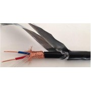 DJFPF计算机电缆-高温电子线