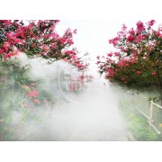 四川雾森厂家 餐厅景区公园人造雾 景观喷雾设备