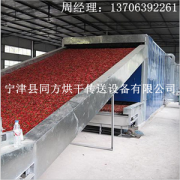 厂家供应小红辣椒烘干设备 网带式热风干燥设备
