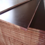 滨州建筑工程用建筑木模板抗弯力强德州星 木业