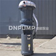简易轴流泵厂家  品牌 简易轴流泵生产厂家 天津德能泵业