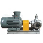 YCB不锈钢圆弧齿轮泵 燃油泵 增压输油泵诚信厂家