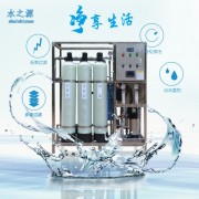 浙江金华水之源RO反渗透用水处理器0.25T