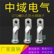 DTG扩口喇叭孔铜鼻子 防水型端子 厂家支持非标定做线耳