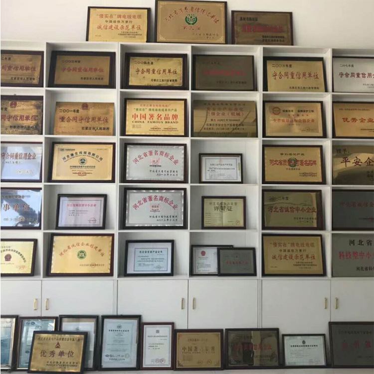 资质