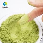 长期供应 黄绿色 绿色  200目绿茶粉