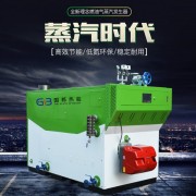 燃气蒸汽发生器600kg供暖洗涤商用节能环保天然气蒸汽发生器