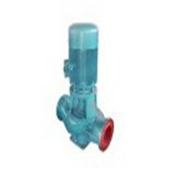立式管道泵 (1)