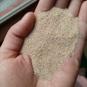 水洗石英砂 40-70目烘干海砂 消防沙 保健砂