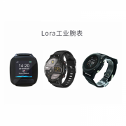 智能lora通讯腕表