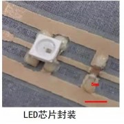 供应日本SEIREN  LED芯片封装