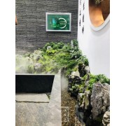 深圳庭院花园景观石摆放日式庭院景观设计青龙石盆景