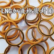 LNG加液枪泛塞封 进口UPE弹簧蓄能密封圈