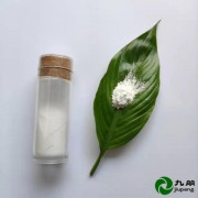 橡胶补强耐磨专用30nm二氧化硅CY-SR01