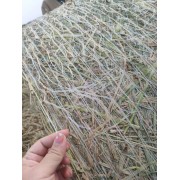 农用捆草打包网秸秆打包网托盘打包网