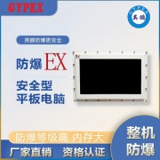 英鹏YP-KJD3.7 WIN/EX防爆平板