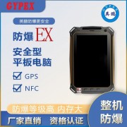 英鹏YP-T08S 安卓/EX防爆平板