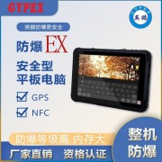 英鹏YP-T08I WIN/EX防爆平板电脑